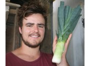 LEEKS - MEDIUM -  Each LEVIN Grown 